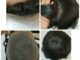 วิกติดกาวทอมือ Full Lace วิกปิดหัวล้านผู้ชาย French Lace ผมแท้100% แห้งง่ายระบายอากาศได้ดีที่สุด ตัดตัวฐานได้ตามต้องการ