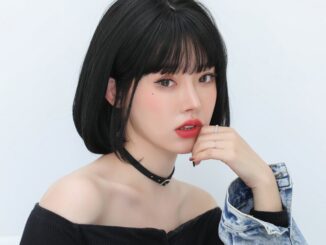 วิกบ๊อบสั้น วิกผม Calawigs ผมพรีเมี่ยม ผมสั่้นบ๊อบงุ้มเข้า สินค้าสวยตามภาพ100% สินค้าส่งในไทย พร้อมส่ง