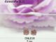 ONLE18 : ต่างหูเงินแท้ 925 ฝังเพชรสวิส (CZ)