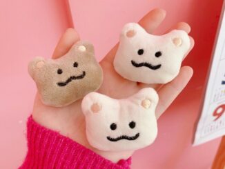เข็มกลัดน้องหมีน่ารักๆ ขนาด 5 ซม. พร้อมส่งนะคะ