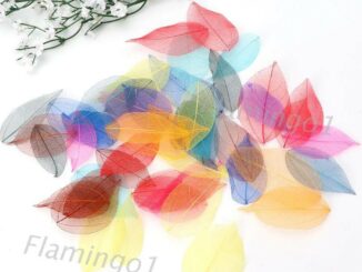 flgo* 50 Pcs Mixed Color Natural Skeleton Leaves Pressed Flower for Jewelry Making