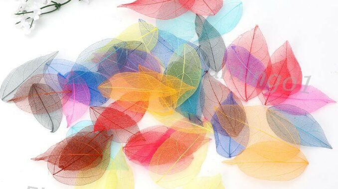 flgo* 50 Pcs Mixed Color Natural Skeleton Leaves Pressed Flower for Jewelry Making