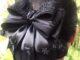 #โบว์ติดผม#กิฟติดผม#เนตผม#แฮร์พีท#โบว์ผูกผม#Bow#snood net