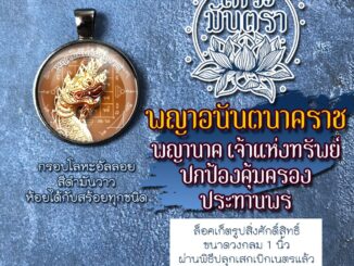 จี้พญาอนันตนาคราช ล็อคเก็ตอนันตนาคราช ปู่อนันตนาคราช พญานาคห้อยคอ จี้พญานาค พญานาคองค์เล็กสำหรับห้อยคอ