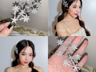 กิ๊บติดผมเพชร เป็นกิ๊บปากเป็ด ดาวพลุเป็นแบบกิ่งไม้ สีเงิน ใส่ 2 ข้างก็สวยจ้า