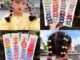 กิ๊บติดผมประดับโบว์แฟชั่นเกาหลีสําหรับเด็ก (ชุด 10 ชิ้น)