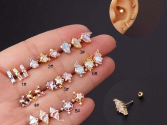 อุปกรณ์เครื่องมือสแตนเลส 20Gauge Star Moon สําหรับใช้ในการเจาะรูปทรงดวงจันทร์ 20Gauge 1ชิ้น