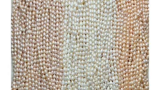 2.♥️มุกแท้ %(Freshwater pearl)  ทรงไข่ขนาด5.5-5×7.5-9มิลมิล♥️