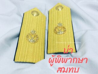 บ่าผู้พิพากษาสมทบ อินทรธนูชุดปฏิบัติราชการ(ชุดกากี)