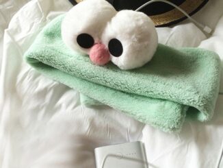 Mint Green Sesame Street ที่คาดผมตาโตน่ารักเกาหลี Velcro Washing Headband