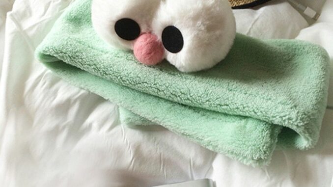 Mint Green Sesame Street ที่คาดผมตาโตน่ารักเกาหลี Velcro Washing Headband