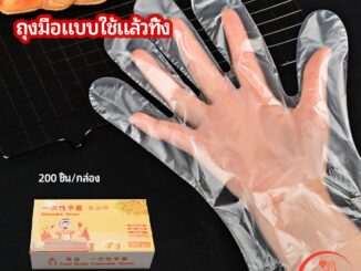 ถุงมือพลาสติก ถุงมือแบบใส  แบบใช้ครั้งเดียวทิ้ง PE disposable gloves