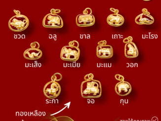 จี้ปีนักษัตร(จำหน่าย 1 ชิ้นมีแบบให้เลือก) หุ้มทองby สุปราณีเอสอาร์โกลด์(SRZ286)