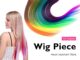 กิ๊บต่อผม กิ๊บผมตรง ช่อผมไฮไลท์ ผมปลอม วิกผมผู้หญิง Hightlight wig แฮร์พีช วิกผมไฮไลท์ ทรงผมลิซ่า สไตล์เกาหลี