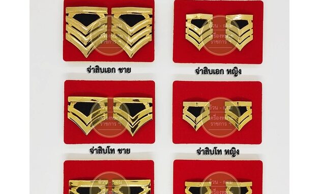 จ่า ทบ. ( ตรี - โท - เอก ) หมุด - แม่เหล็ก จ่า ทบ. ( ตรี - โท - เอก ) หมุด - แม่เหล็ก