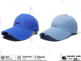 friendly_dd | หมวกเปล่า แก๊ปหน้านิ่ม แฟชั่น | โทนสีฟ้า | รับปักและสกรีนตัวหนังสือ