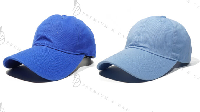 friendly_dd | หมวกเปล่า แก๊ปหน้านิ่ม แฟชั่น | โทนสีฟ้า | รับปักและสกรีนตัวหนังสือ