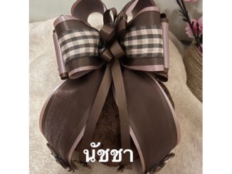 เน็ตติดผมข้าราชการพยาบาลแม่บ้านแฟชั่น