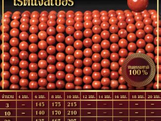เรดแจสเปอร์ | Red Jasper (เส้นยาว 39 ซม.)