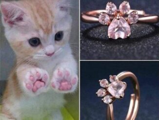 [highbuying] แหวน รูปกรงเล็บแมว ประดับเพทายคริสตัล สีโรสโกลด์ ปรับได้ ของขวัญ สําหรับผู้หญิง