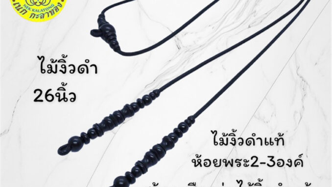 สร้อยพระตะกรุดไม้งิ้วดำแท้ห้อยพระได้อีกองค์ห้อยได้2องค์ คะ สร้อยพระตะกรุดไม้งิ้วดำแท้ห้อยพระได้อีกองค์ห้อยได้2องค์ คะ