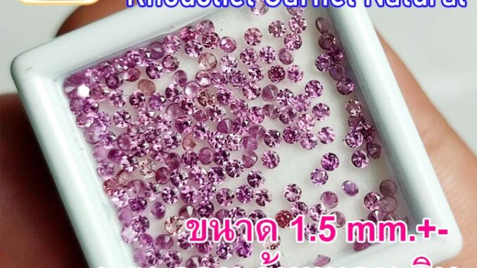 ❤️A231 1.5 มิล 1 เม็ด กลม พลอยแท้ โรโดไลท์ กาเน็ต RHODOLITE GARNET พลอยสด ธรรมชาติแท้ ไม่เผา ❤️A231 1.5 มิล 1 เม็ด กลม พลอยแท้ โรโดไลท์ กาเน็ต RHODOLITE GARNET พลอยสด ธรรมชาติแท้ ไม่เผา