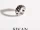 SWAN - Tiger Ring M แหวนเงินแท้ ชุบสี enamel ใส่แล้วไม่แพ้