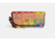 Sunglass Case In Rainbow Signature Canvas แท้