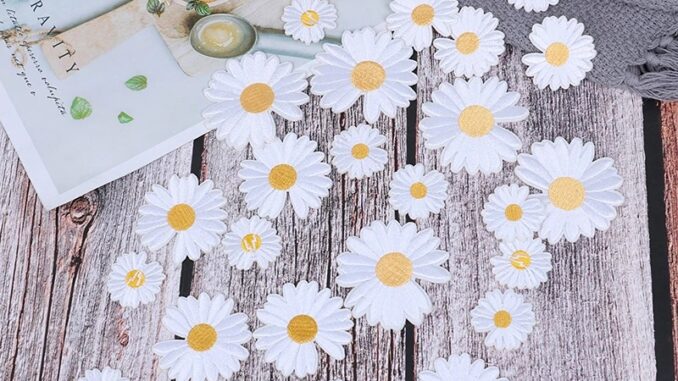 แผ่นแพทช์ ปักลายดอกทานตะวัน ดอกเดซี่ ขนาดเล็ก สําหรับรีดติดเสื้อผ้า DIY 1 ชิ้น