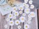 แผ่นแพทช์ ปักลายดอกทานตะวัน ดอกเดซี่ ขนาดเล็ก สําหรับรีดติดเสื้อผ้า DIY 1 ชิ้น