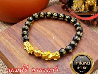 พร้อมส่ง  PIXIU กำไลเซียปี่เซียะ ปี่เซี่ยะคู่ เสริมการงาน การเงิน บารมี หินออบซิเดียนลงอักขระ 6 พยางค์ ปี่เซียะ