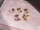 Petite Irene Stud ต่างหูสตั๊ดใส่ได้ 2 แบบ