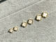 whisper.ring - Amis Earrings (เฉพาะต่างหู) ต่างหูจี้ดอกไม้ จี้เปลือกหอยแท้ ประดับเพชร *Bridegerton*