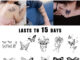ZOAR พร้อมส่ง A002Magic tattooสติ๊กเกอร์รอยสักสมุนไพร  ชุดผีเสื้อ กันน้ำ กันรอย ยาวนาน กึ่งถาวร แสดงสี เหมือนจริง