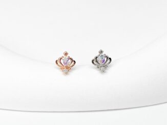 จิวหูเกาหลี ก้านแสตนเลสเกรดเครื่องมือแพทย์ Surgical Stainless Steel no.244_245