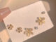 blooming crystal set - morning.earrings