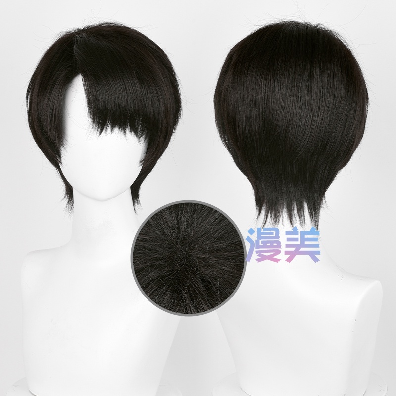 Anime Attack on Titan Levi Ackerman 30cm Black Brown Short Heat Resistant Synthetic Wigs