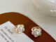 camellia hoop - morning.earrings