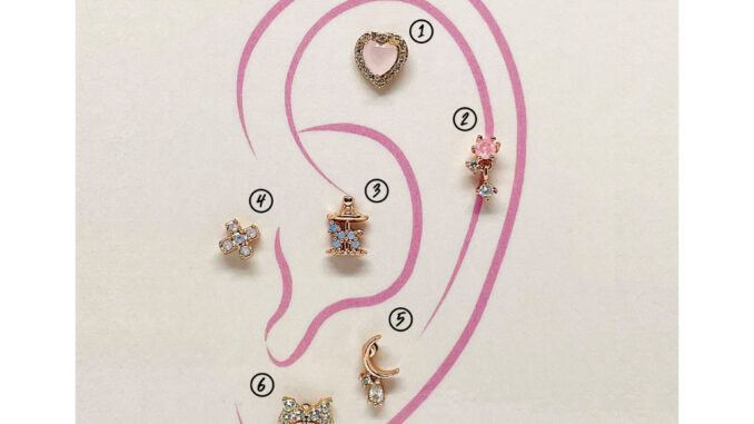 จิวหูเกาหลี นำเข้า เงินแท้ (เซ็ตที่95) (ราคาต่อชิ้น) (ผิวแพ้ง่ายใส่ได้)