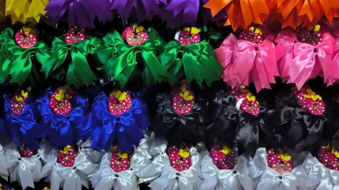 โบว์ติดผมนักเรียน ขายเป็นคู่ พร้อมส่ง