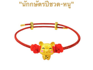 ชาร์มสร้อยข้อมือปีนักษัตร เสริมปีเกิด โชคลาภ วาสนา เรียกทรัพย์ ปัดเป่าสิ่งชั่วร้าย