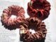 ยางรัดผม Scrunchies mini ยางรัดผมโดนัท ผ้า Satin Bella collection  มีมากกว่า20สี ไม่กินผม ไม่ตึงเกินไป พร้อมส่ง