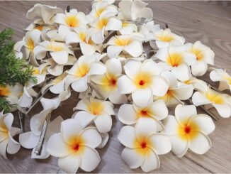 กิ๊บติดผมดอกไม้ กิ๊บติดผมดอกลีลาวดี พร้อมส่ง ราคาต่อ 1 ดอก