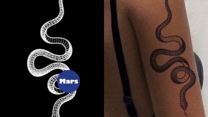 【Mars Tattoo】ใหม่ สติกเกอร์รอยสักชั่วคราว ลายงู C001 กึ่งถาวร ติดทนนาน