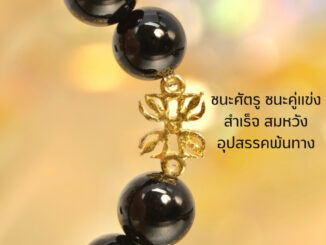Leila Amulets วชิรัม (พร้อมกำไลหินฟรีตามรูป)