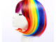 วิกผมสายรุ้ง วิกผมสั้น wig cosplay