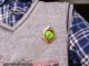 Genshin Impact Sumeru Pins เข็มกลัดวิสัยทัศน์ Lnazuma Tighnari Collei Dori Nilou 7 Element Weapons Eye Of Original God Badge