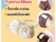(พร้อมส่ง)   งานไทย ดอกมะลิ กิ๊บดอกมะลิ กิ๊บดอกไม้ประดับผม กิ๊บดอกไม้ติดผม