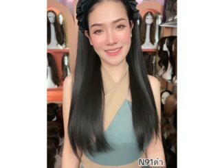 N91 วิกคาดครึ่งหัวผ้าแก้ว(ผมตรง):   (แถมเน็ต+หวี)