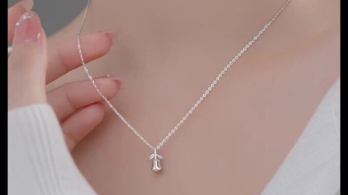 PN005 สร้อยเงินจี้กุหลาบดอกเล็ก (พร้อมแพคเกจครบเซท) งานเกรดพรีเมี่ยม ใส่โดนน้ำได้ไม่ลอกไม่ดำ สินค้าพร้อมส่ง PN005 สร้อยเงินจี้กุหลาบดอกเล็ก (พร้อมแพคเกจครบเซท) งานเกรดพรีเมี่ยม ใส่โดนน้ำได้ไม่ลอกไม่ดำ สินค้าพร้อมส่ง